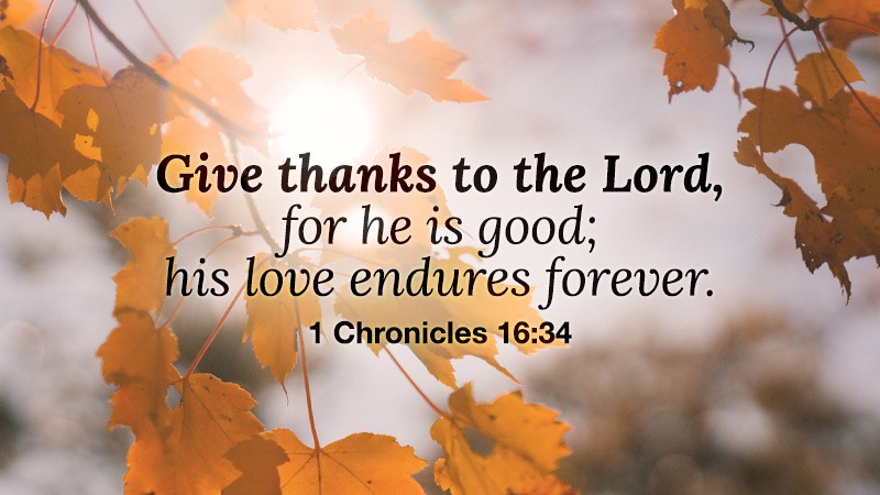 Give thanks to the Lord, for he is good; his love endures forever. (1 Chronicles 16:34)