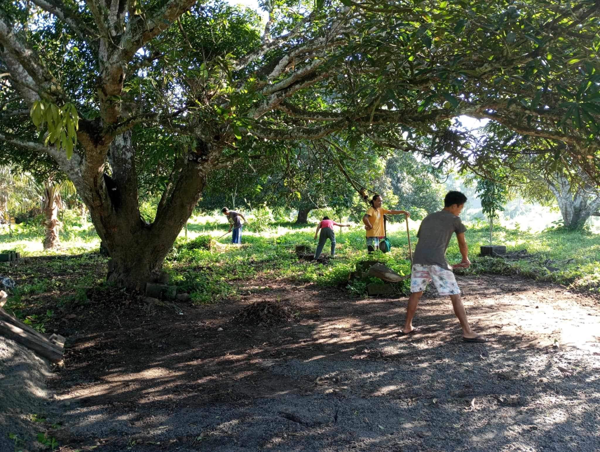 Gardening Stories