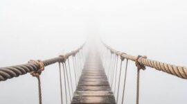Bridges